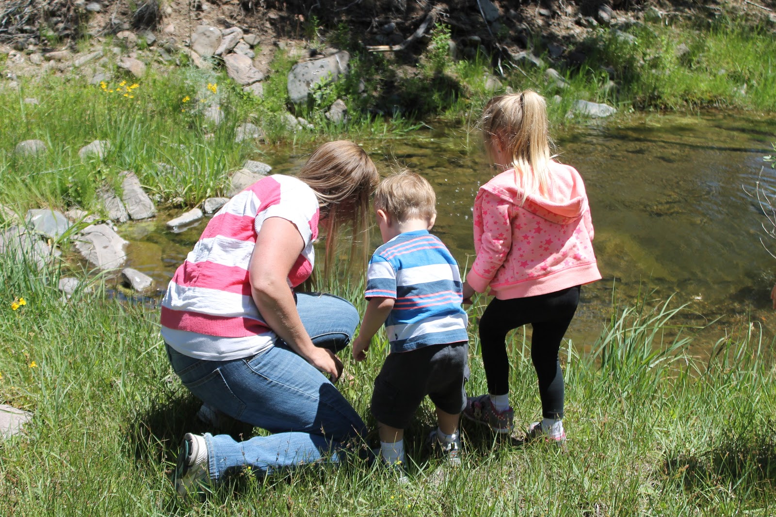 We love to explore new creeks. It's one way we work as a family to live naturally
