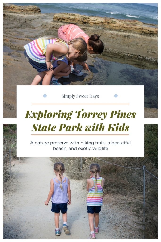 Planning a trip to San Diego California with kids? One of my favorite things to do in America's Finest City is explore Torrey Pines State Park. It's got easy hiking trails and beautiful beaches, and is practically free since yuo only have to pay for parking!