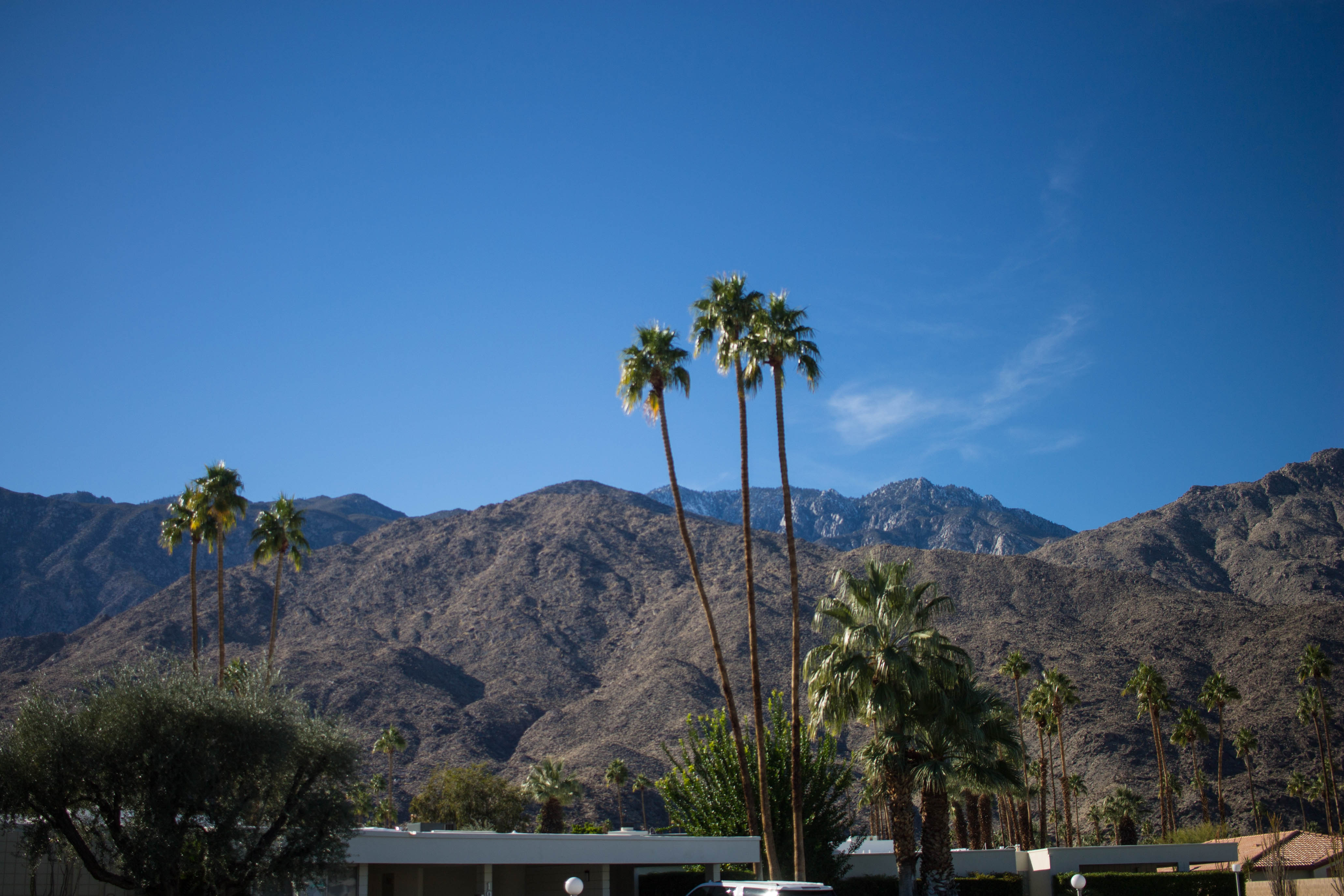Palm Springs scenery